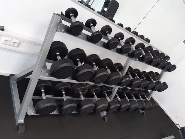 fitplus Daun Hanteln