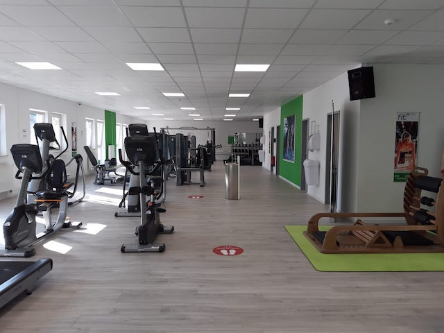 fitplus Daun Trainingsbereich