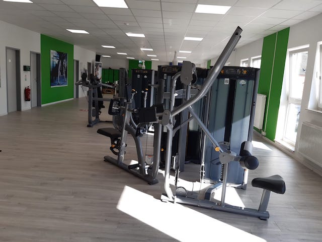 fitplus Daun Trainingsflaeche